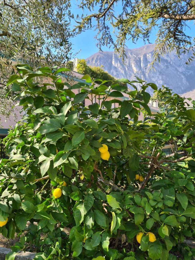 Le Peonie Appartement Riva del Garda Buitenkant foto