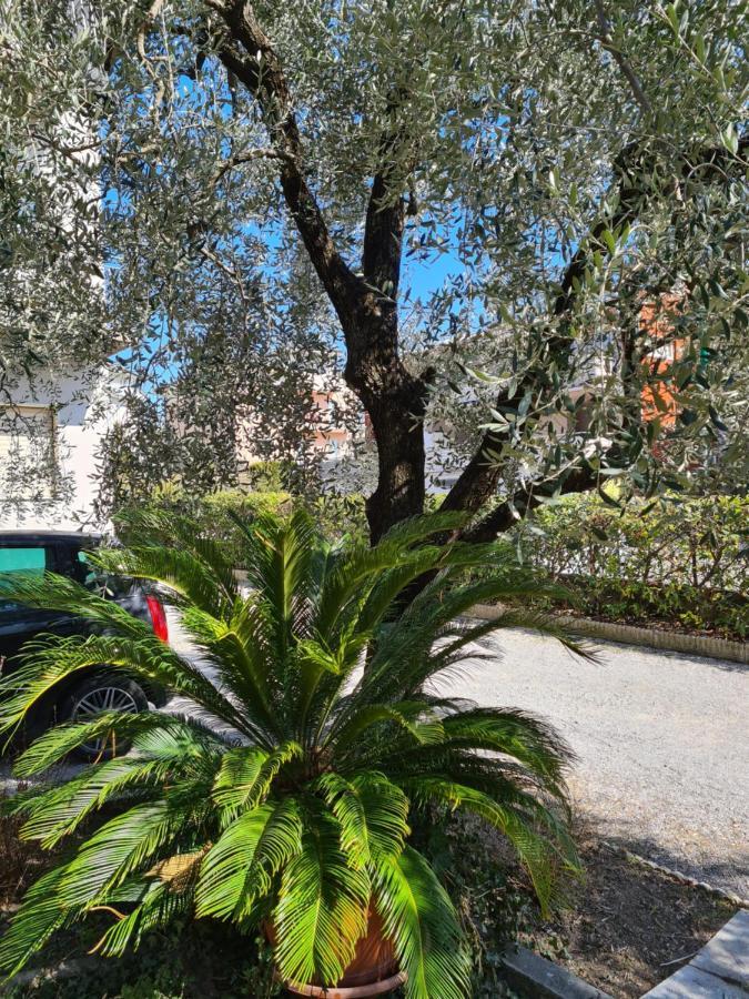 Le Peonie Appartement Riva del Garda Buitenkant foto
