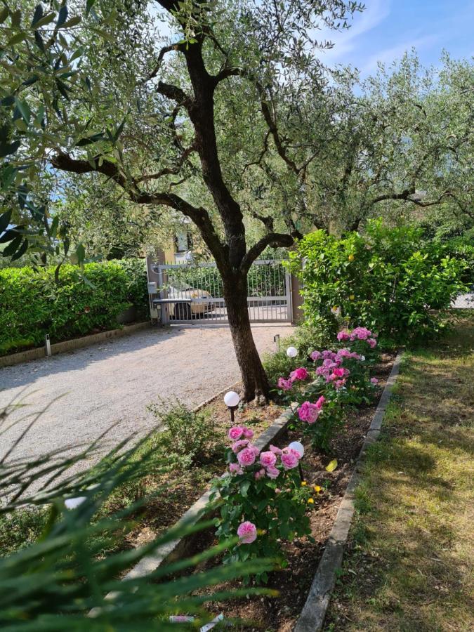 Le Peonie Appartement Riva del Garda Buitenkant foto