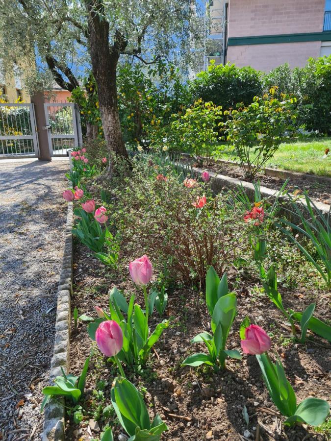 Le Peonie Appartement Riva del Garda Buitenkant foto